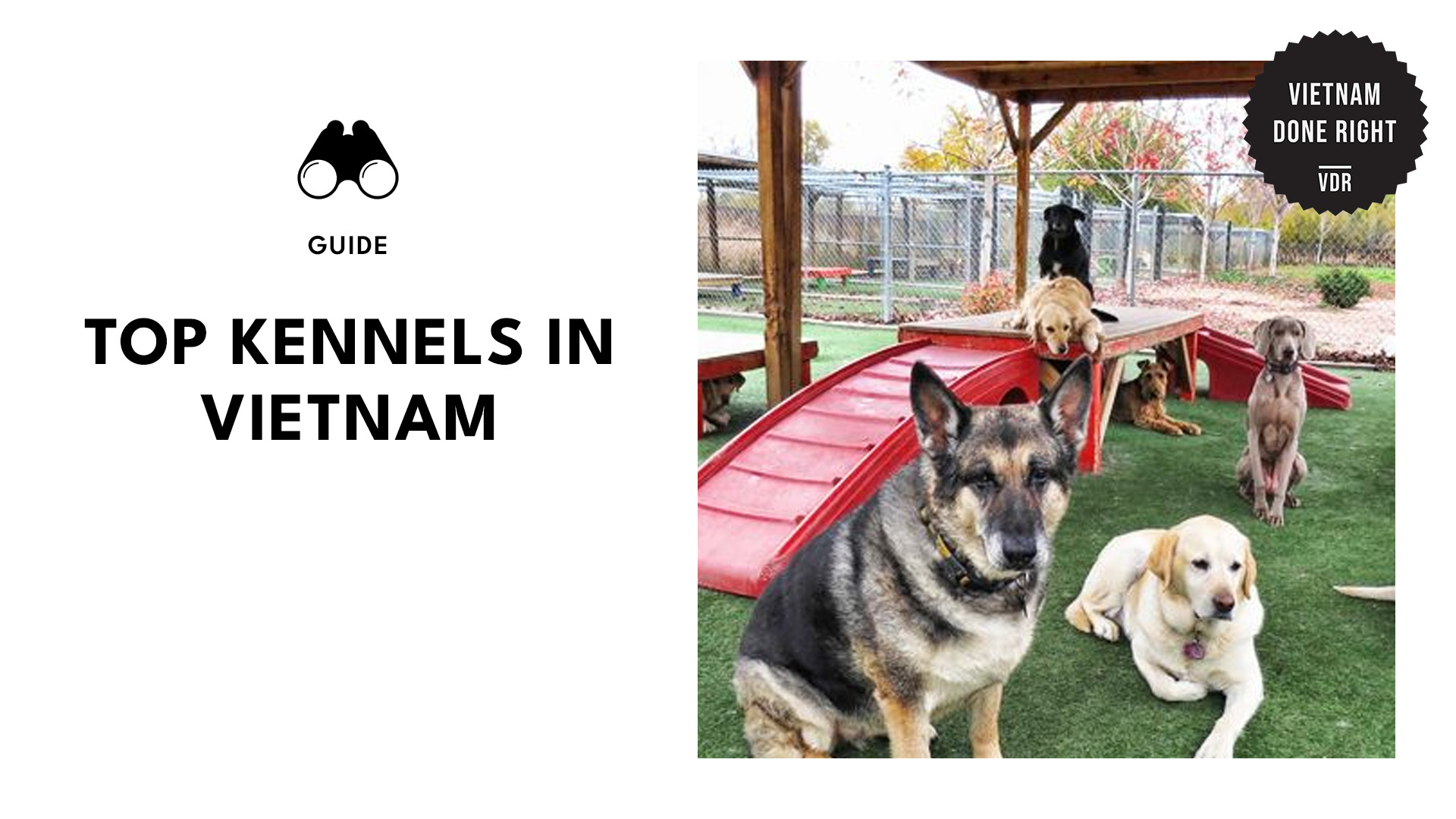 kennels