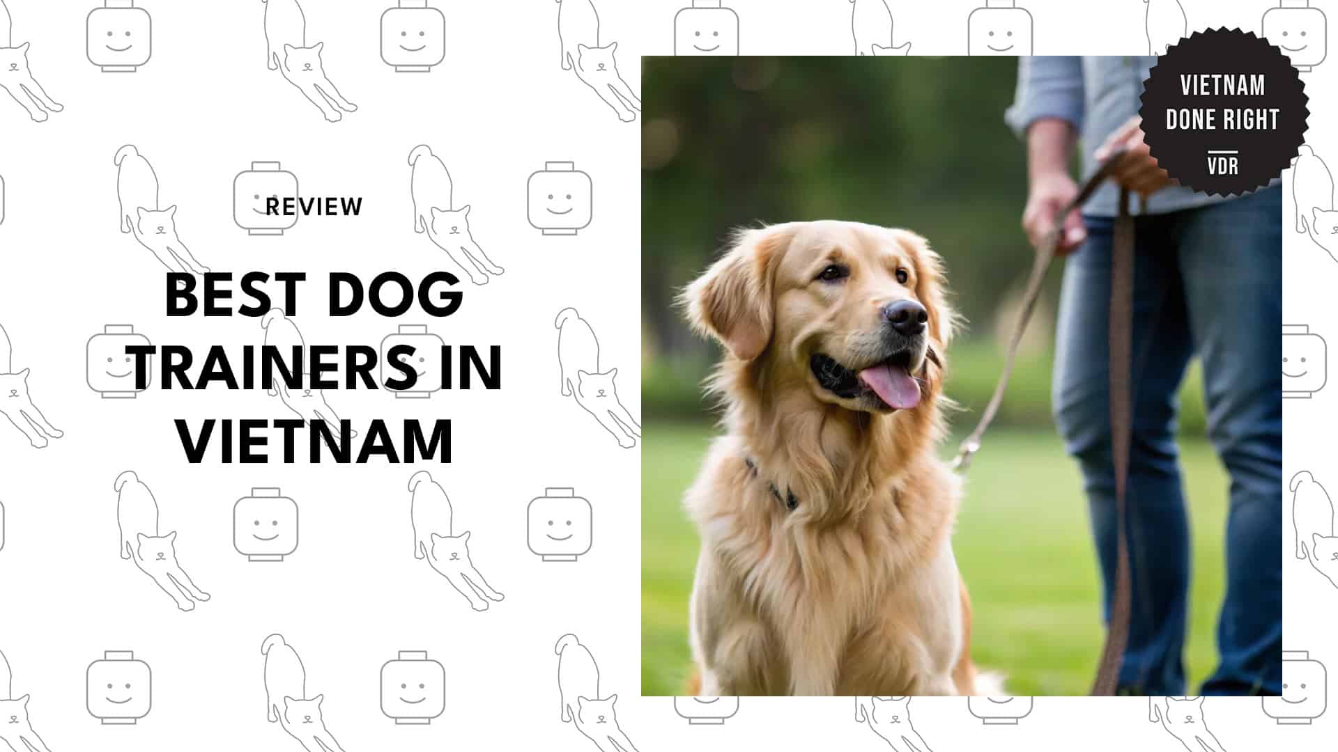 dog-trainers-vietnam-banner