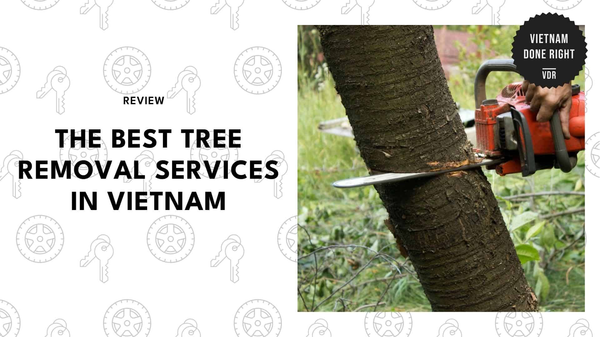 best-tree-removal-services-vietnam