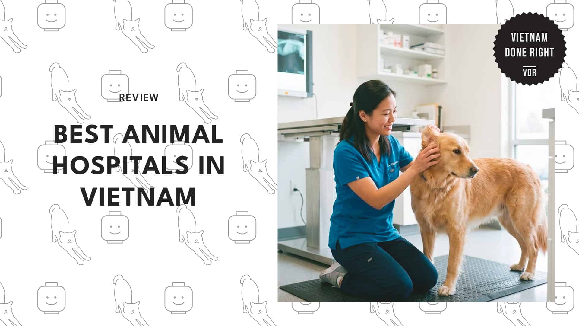 best-animal-hospitals-vietnam