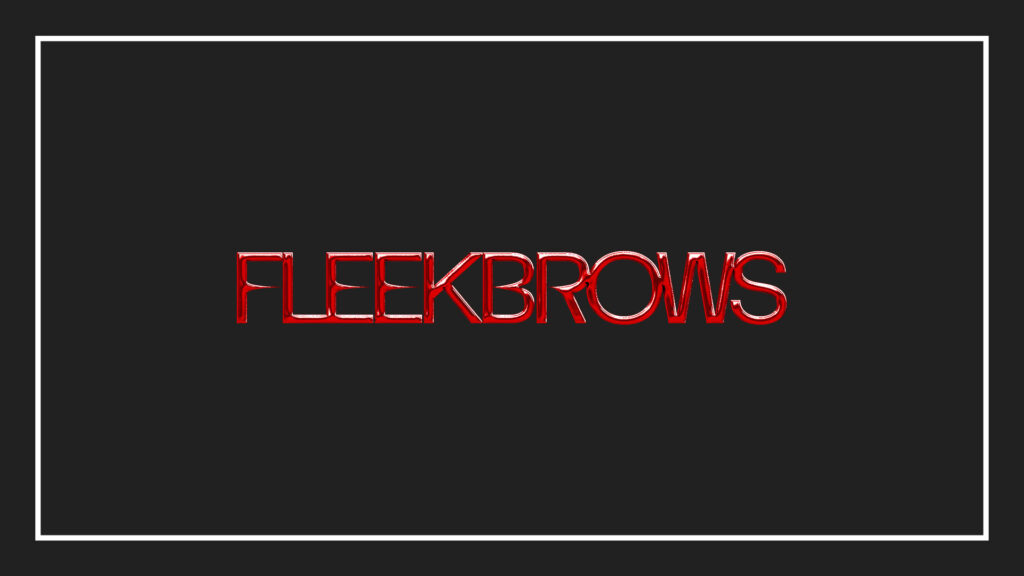fleekbrows-studio