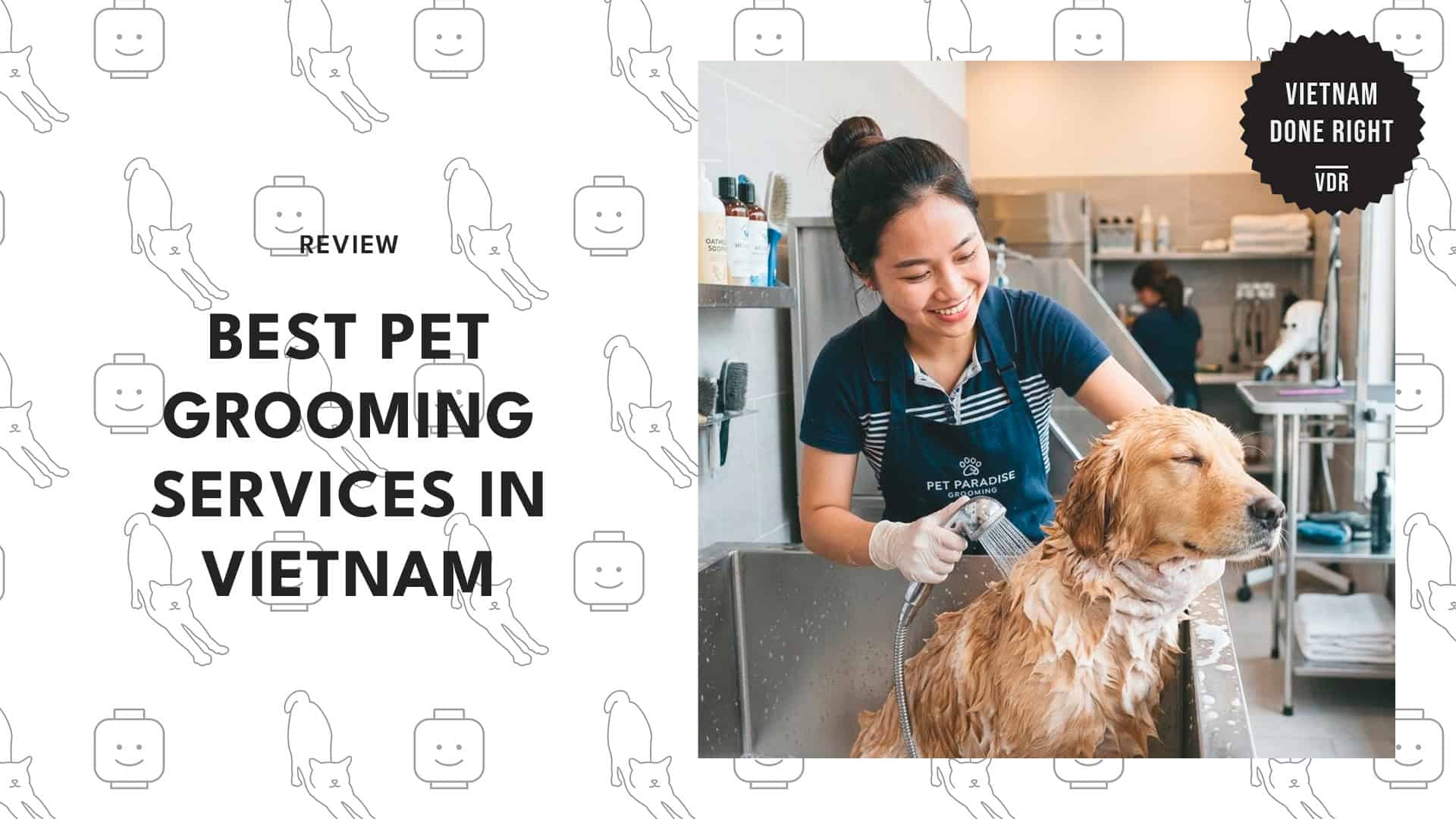 best-pet-grooming-services-in-vietnam