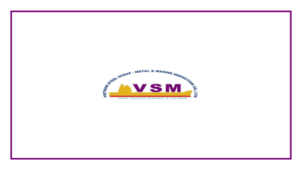 vsm-inspection-logo