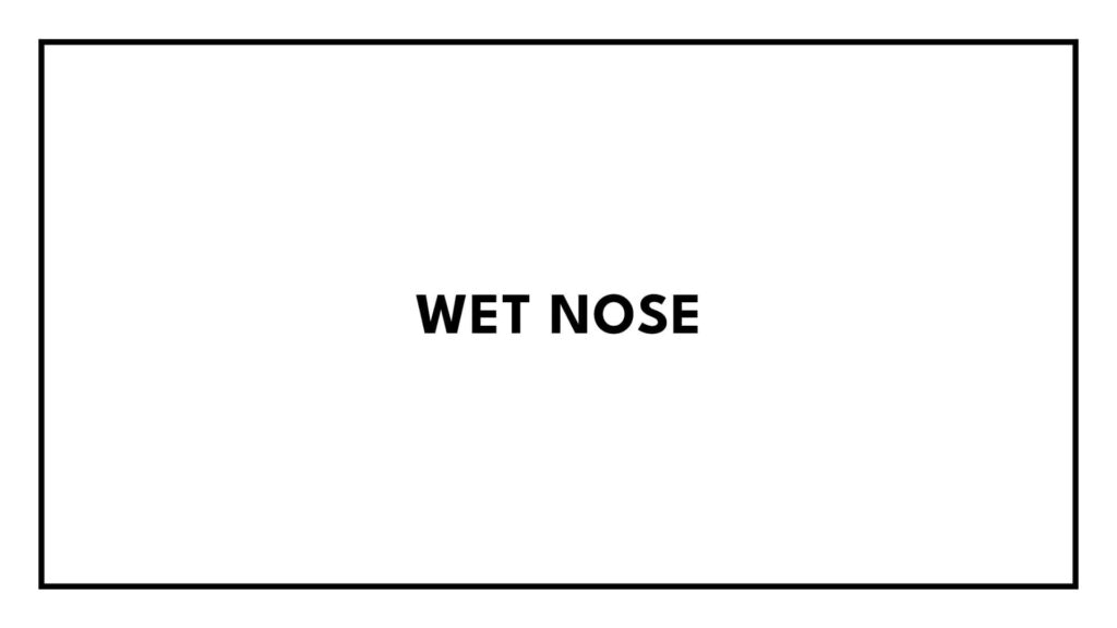 wet-nose