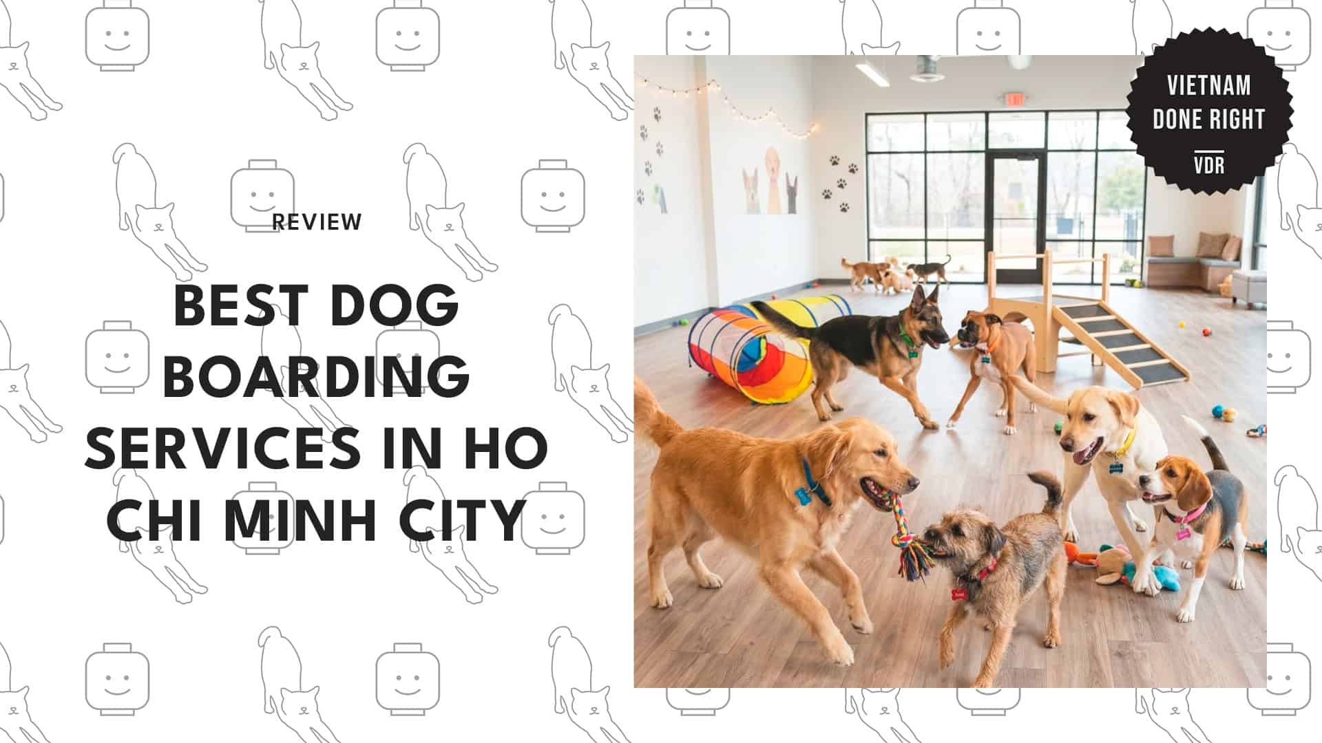 dog-boarding-services-in-ho-chi-minh-city