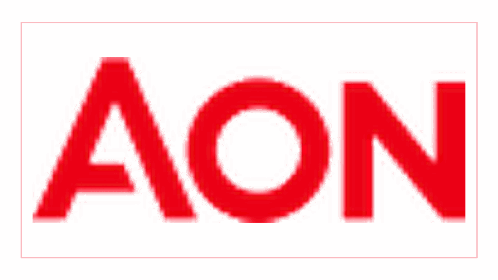 aon-vietnam