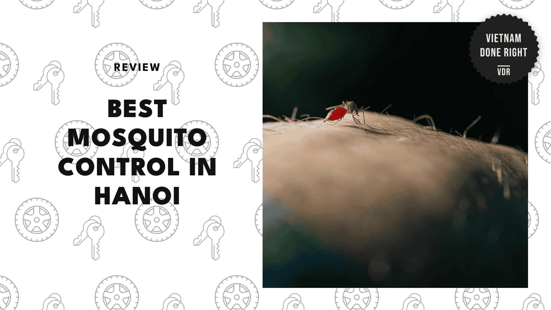best-mosquito-control-hanoi