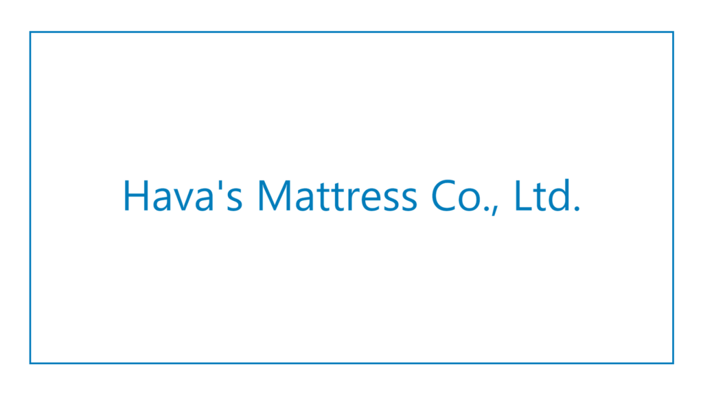 hava-s-mattress-co-ltd-logo