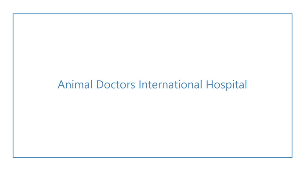 animal-doctors-international-hospital-logo