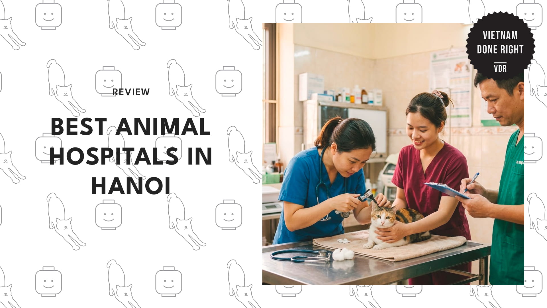 animal-hospitals-hanoi-banner