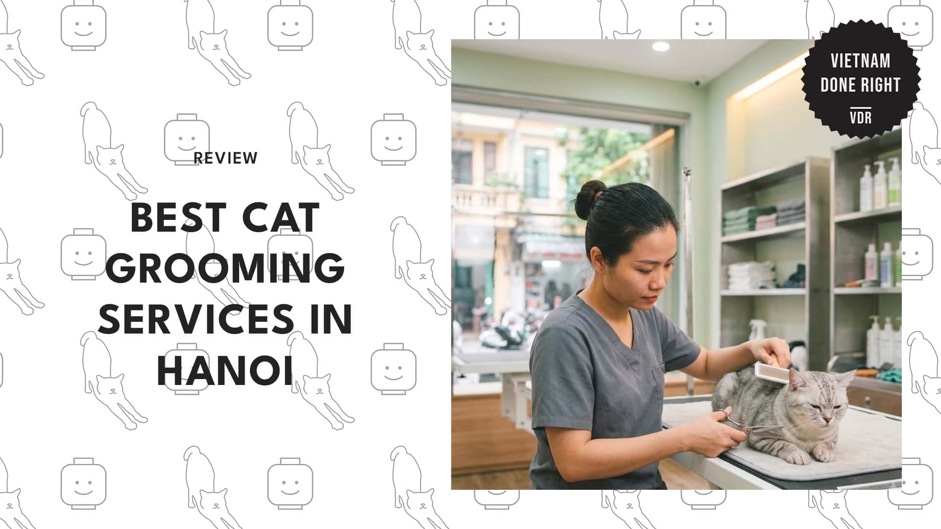 best-cat-grooming-hanoi-banner