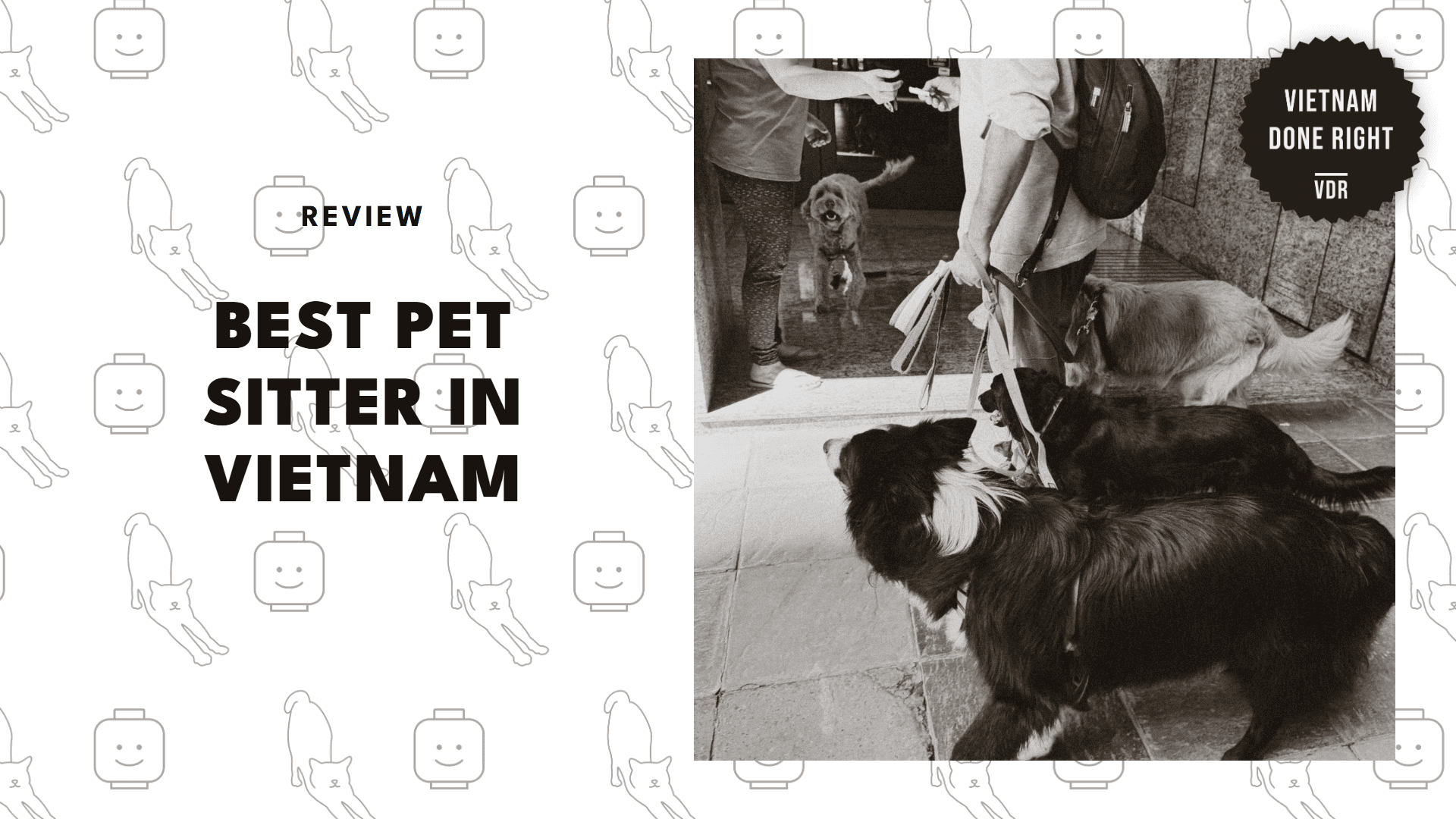 pet-sitter-services-in-vietnam