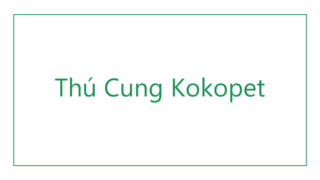 thu-cung-kokopet-logo