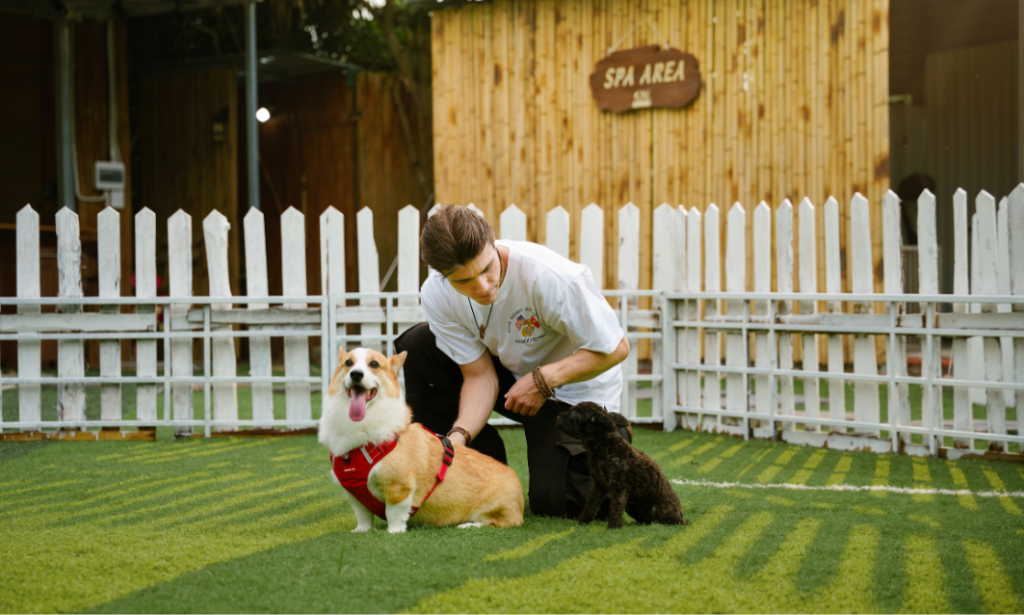 cuddle pet dog trainer